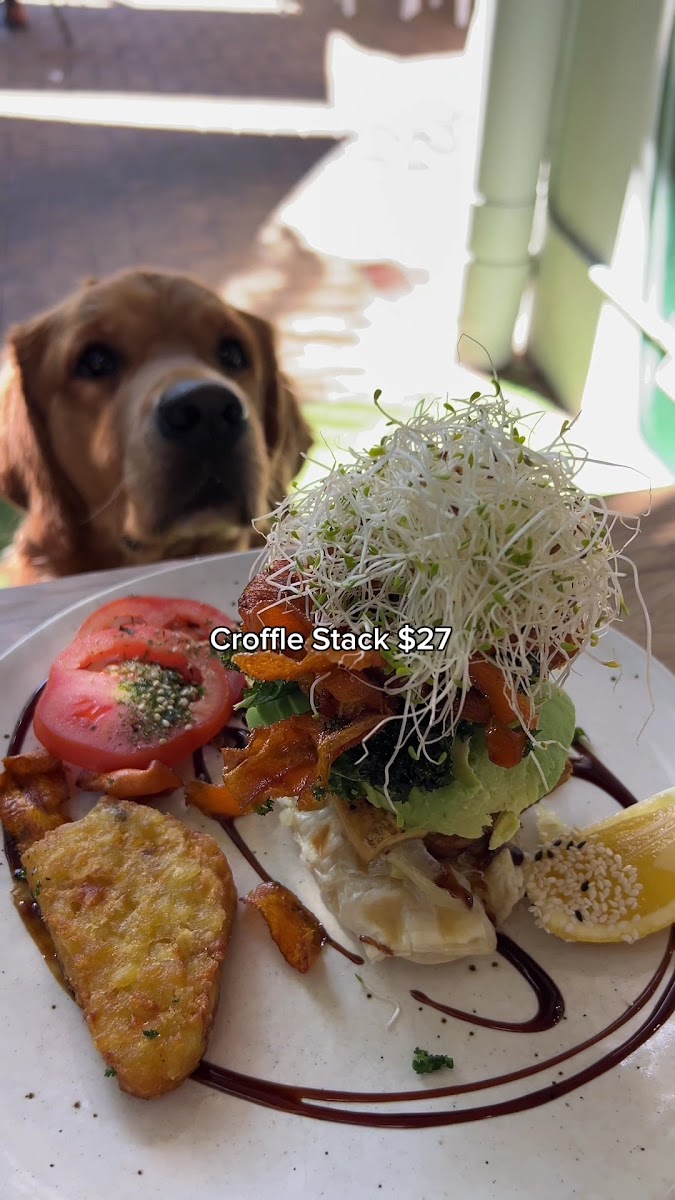 Vega Cafe Photo 2