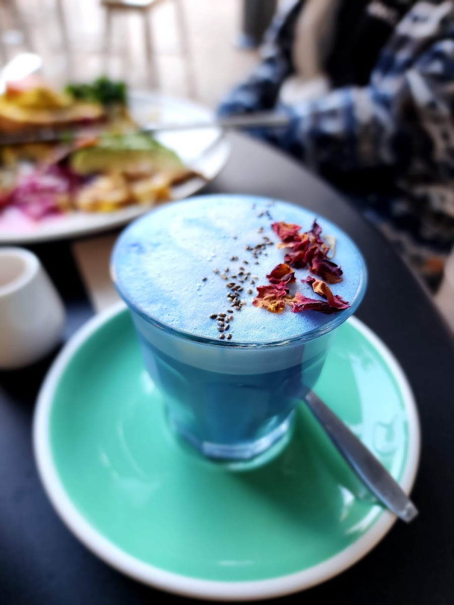 Vega Cafe Photo 5